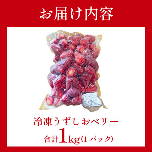 冷凍 いちご 苺 1パック 1kg うずしおベリー 冷凍イチゴ