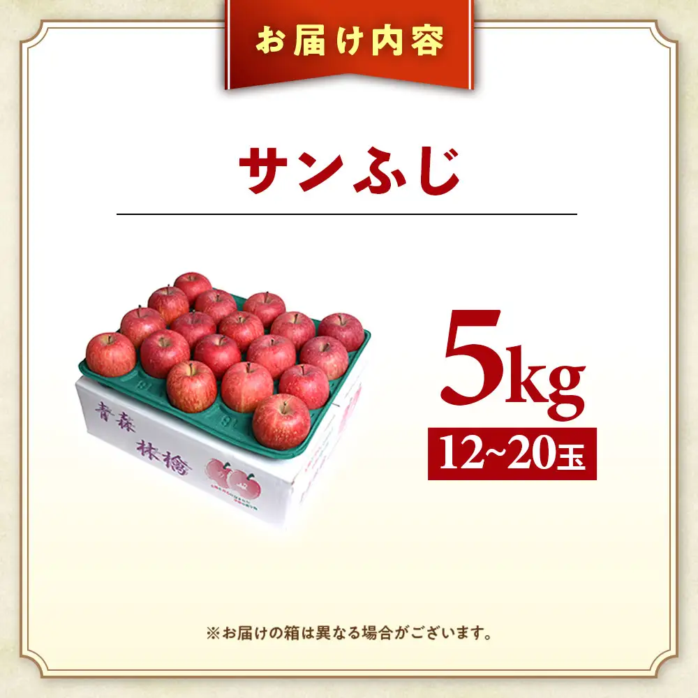 青森県産りんご サンふじ 約5kg 12月中旬～ りんご