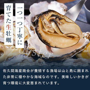 【加熱用】宮島が育んだ冷凍かき(殻付き)40個