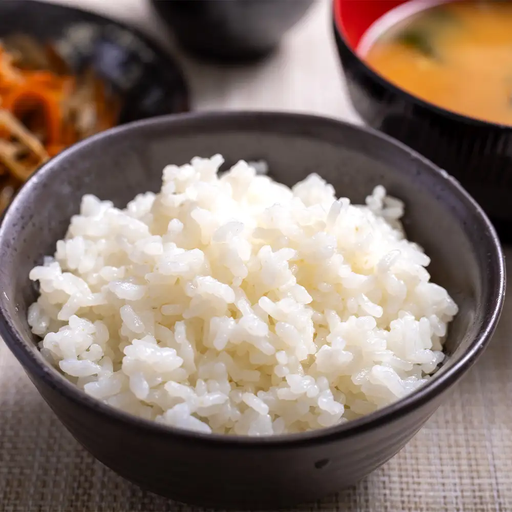無洗米 令和7年産 コシヒカリ 無洗 cs-0002