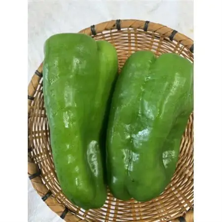 季節のおまかせ野菜セット【配送不可地域：離島】【1643879】