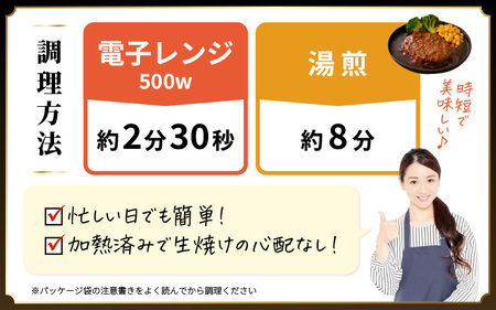 デミグラスハンバーグ 5個入り 簡単調理 ハンバーグ [A-0586]