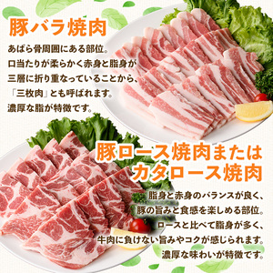 鹿児島県産 豚 バラエティー 焼肉 セット 豚肉 (合計3.2kg) 【ハピネス】A932
