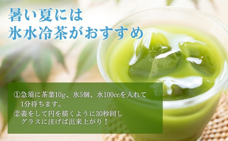 森の茶「初摘み」たっぷり10袋 お茶 茶葉 煎茶 みる芽 若葉 一芯三葉 みずみずしい うま味 まろやかな甘み 渋み バランスの良いお茶 緑鮮やか 森町 静岡県
