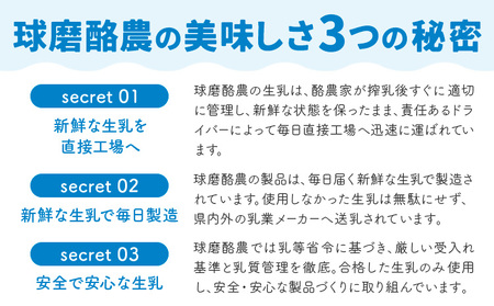 球磨の恵み のむヨーグルト 450g×4本 150g×12本 球磨酪農農業協同組合《30日以内に出荷予定(土日祝除く)》熊本県 球磨郡 山江村 球磨の恵みのむヨーグルト 加糖 砂糖不使用 熊本県産 生乳 使用