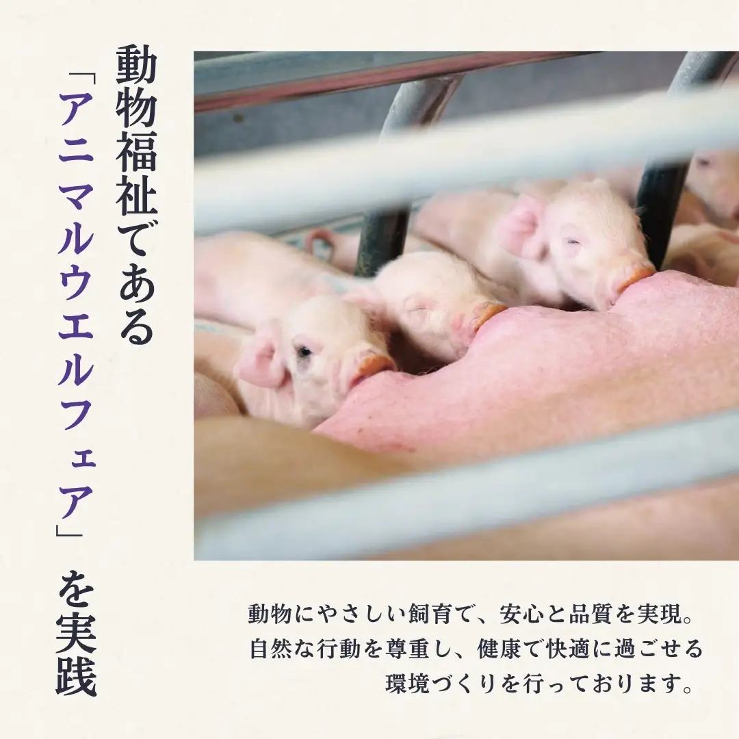 鬼の宝ポーク しゃぶしゃぶ 1.5kg ( ロース/肩ロース/バラ 各500g )| 国産豚 豚しゃぶ 津南町
