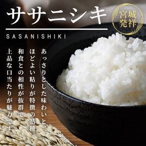 ≪6ヶ月定期便≫ 登米市産 ササニシキ 60kg (10kg×6回) お米 おこめ 米 コメ 白米 ご飯 ごはん おにぎり お弁当 頒布会【有限会社PFTサービス】tm479