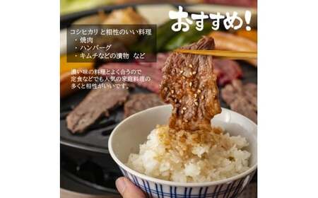 【7営業日以内発送】令和7年産 無洗米 長崎 こしひかり 900g ／ コシヒカリ お米 米 白米 ブランド米 国産 九州 長崎県産米 長崎県産 長崎県 長崎市