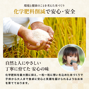 【定期便12回】お米 ヒノヒカリ 精米 5kg | 米 おこめ こめ ひのひかり 白米 5キロ 国産米 おいしいお米 定期 定期便 大分県産 九州産 中津市