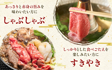 あか牛肩ロース しゃぶしゃぶ・すきやき用 500g 株式会社ドクタージュ《30日以内に出荷予定(土日祝除く)》熊本県 南阿蘇村 熊本県産 あか牛 肩ロース しゃぶしゃぶ すきやき すき焼き 牛肉