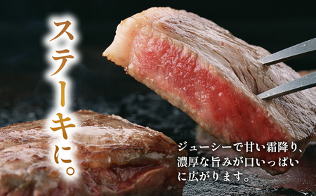 飛騨牛 サーロインステーキ 3枚 500g ステーキソース付き A5 A4 国産 牛 黒毛和牛 和牛 牛肉 サーロイン ステーキ 豪華 ギフト 贈答 肉のひぐち