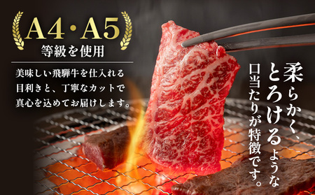 飛騨牛 BBQセット（カルビ・モモカタ） 計800g A5 A4 国産 牛 黒毛和牛 和牛 牛肉 カルビ もも モモ カタ 肩 かた 豪華 ギフト 贈答 肉のひぐち