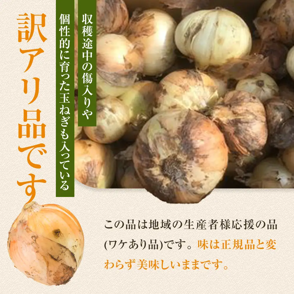 ［2026年発送分・先行予約］訳あり 農家さん直送 低農薬玉ねぎ 10kg程度 S～2L混合［4月中旬～7月中旬頃発送予定］ご家庭用 ※傷有り［KF14］