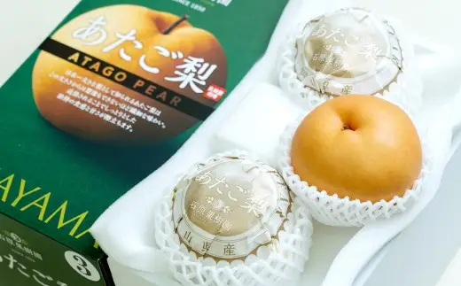あたご梨 3玉 合計約1.5kg 化粧箱 愛宕梨 なし 梨 ナシ 果物 フルーツ 果実 岡山県 倉敷市 【2026年11月下旬～12月下旬迄順次発送予定】