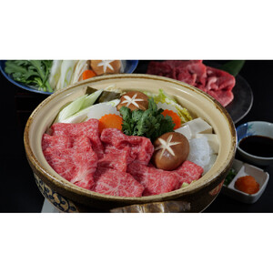 近江牛 すき焼き・しゃぶしゃぶ用 【霜降り・赤身盛り合わせ】500ｇ