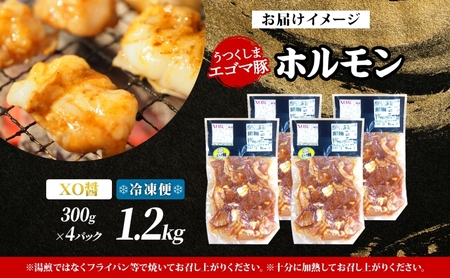 大沼亭 市場直営店 ホルモン XO醤 約1.2kg ホルモン焼き 豚ホルモン 豚ホル ぷるぷる とろける 食感 お酒のお供 おつまみ おかず ごはんのお供 冷凍 うつくしまエゴマ豚 お取り寄せグルメ 送料無料 福島県 郡山市