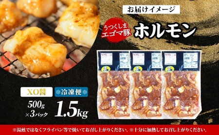 大沼亭 市場直営店 ホルモン XO醤 約1.5kg ホルモン焼き 豚ホルモン 豚ホル ぷるぷる とろける 食感 お酒のお供 おつまみ おかず ごはんのお供 冷凍 うつくしまエゴマ豚 お取り寄せグルメ 送料無料 福島県 郡山市