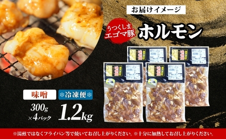 大沼亭 市場直営店 ホルモン 味噌 みそ 約1.2kg ホルモン焼き 豚ホルモン 豚ホル ぷるぷる とろける 食感 お酒のお供 おつまみ おかず ごはんのお供 冷凍 うつくしまエゴマ豚 お取り寄せグルメ 送料無料 福島県 郡山市