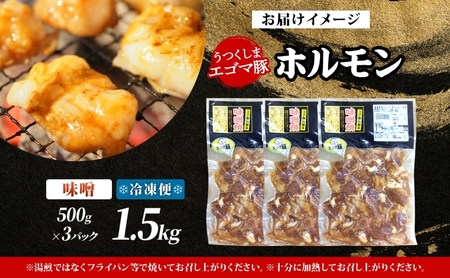 大沼亭 市場直営店 ホルモン 味噌 みそ 約1.5kg ホルモン焼き 豚ホルモン 豚ホル ぷるぷる とろける 食感 お酒のお供 おつまみ おかず ごはんのお供 冷凍 うつくしまエゴマ豚 お取り寄せグルメ 送料無料 福島県 郡山市