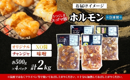 大沼亭 市場直営店 ホルモン オリジナル XO醤 チャンジャ 味噌 約2kg ホルモン焼き 豚ホルモン 豚ホル お酒のお供 おつまみ おかず ごはんのお供 冷凍 うつくしまエゴマ豚 お取り寄せグルメ 送料無料 福島県 郡山市