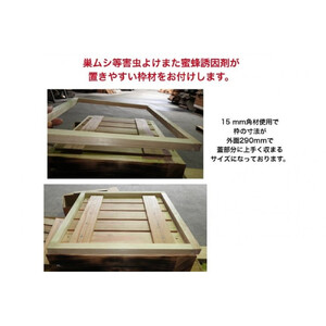 天然杉材を使った自分で組み立てるミツバチ巣箱（上下蓋部）