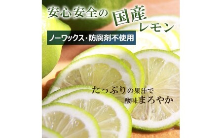 【先行予約】レモン 約3kg 8?15個〈2026年10月下旬?12月上旬頃発送〉  /  璃の香レモン 果物 くだもの 柑橘 フルーツ れもん お取り寄せ 産地直送 おいしい 美味しい 白木果樹園 常温 配送 高知県 高知 土佐市【白木果樹園】 [BQAI025]