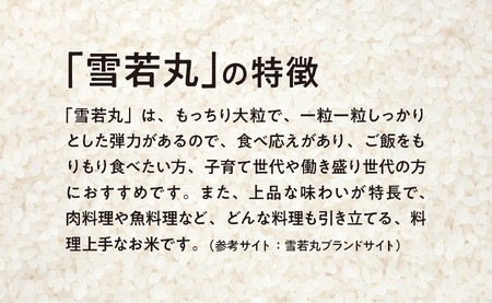 雪若丸 令和7年産 5kg（1袋） こめ コメ 2025年産 精米 山形県 朝日町産 送料無料