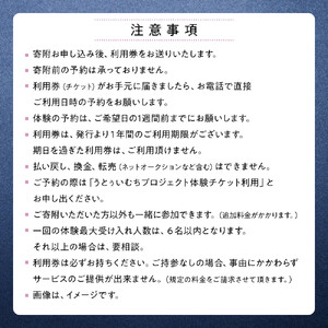 【ふるさと納税】☆沖縄芸能指笛体験☆～沖縄貸衣装体験付き～  | 沖縄 旅行 クーポン 体験 トラベル 人気 おすすめ リゾート チケット 北谷 ちゃたん おすすめ 送料無料