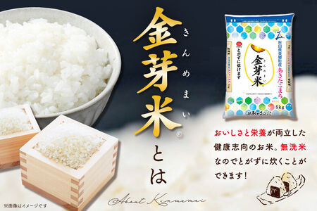 【令和7年産 白米】金芽米 あきたこまち 5kg 玄米の栄養を残した白米 きんめまい