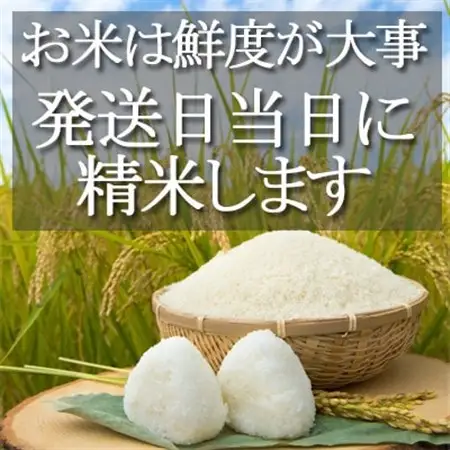 【令和7年産】千葉県産コシヒカリ 精米5kg お米マイスター厳選/推奨 甘味と粘りに自信あり【1666684】