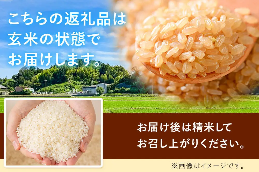 令和8年産 新米予約 つや姫 玄米 10kg 宮城県名取市産 お米