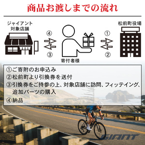 【フレームのみ】GIANT TCR ADVANCED SL FRAMESET (カラー：Polar Tide) ｜ ﾊﾞｲｸ自転車ﾊﾞｲｸ自転車ﾊﾞｲｸ自転車ﾊﾞｲｸ自転車 【GIA002_p】
