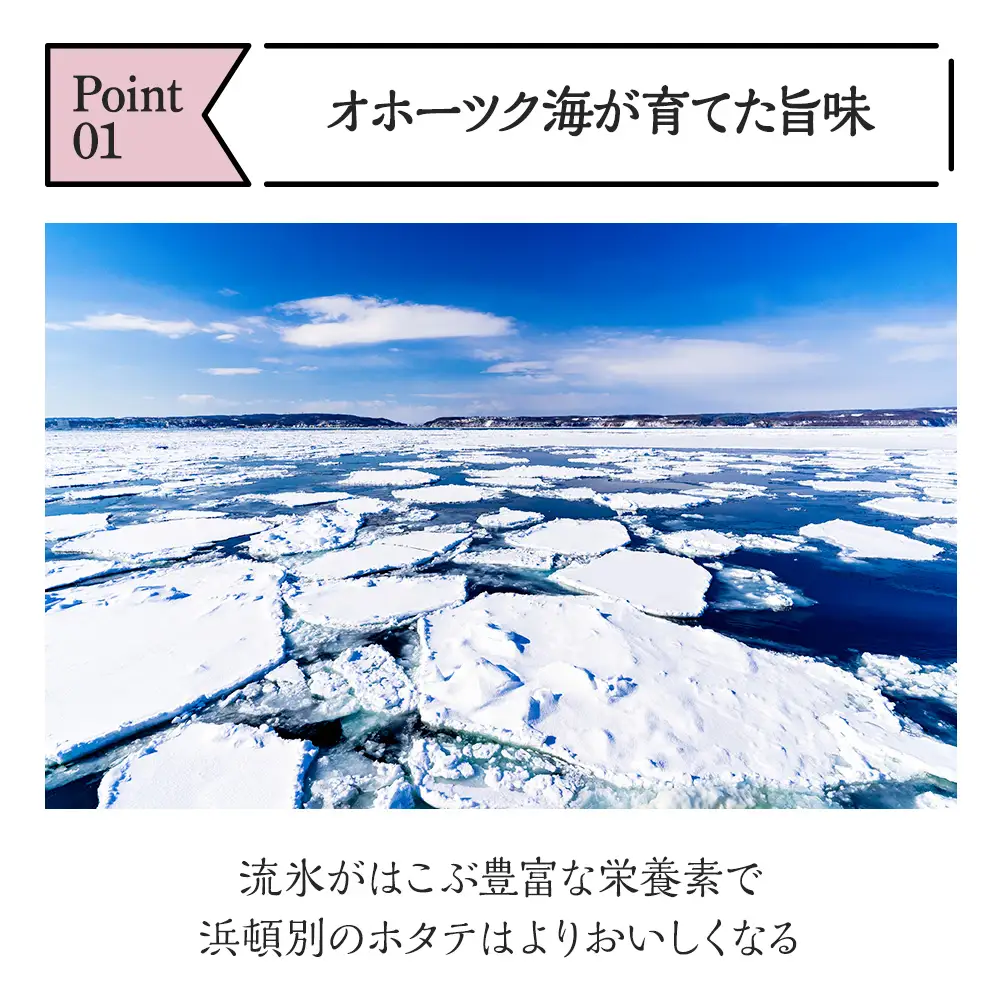 【1月下旬発送】 ほたて 貝柱 冷凍(15粒前後)200ｇ×3パック 小分け お取り寄せ 刺身 《横田水産》 北海道ホタテ ホタテ玉冷 刺身用 帆立 冷凍 刺身 オホーツク 海鮮 食品 北海道ふるさと納税