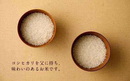【6ヶ月定期便】 大分県産 ヒノヒカリ 5kg 計30kg 【2025年11月上旬発送開始】