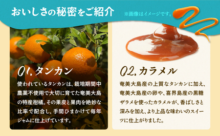 【 奄美 の 保護猫 支援（ 保護猫フード 10日分 ）】＋ 奄美産 タンカン の クレーム ブリュレ （ 4個 入り ） A071-002-01 菓子 スイーツ クリームブリュレ デザート 保護猫支援 保護猫プロェクト cafeCOVOTANA ふるさと納税 鹿児島 奄美市 おすすめ ランキング プレゼント ギフト