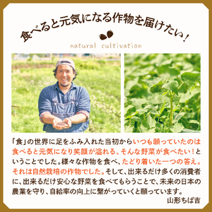 山形ちば吉 十割乾麺そば 5袋 惣邑 辛口純米酒 はつしごと 720ml 2本 セット