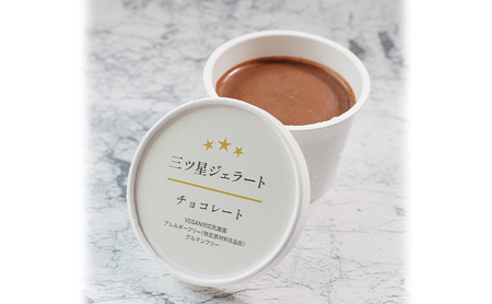 世界中の人たちが食べられる！VEGAN対応乳酸菌入り「三ツ星ジェラート」定番6個セット（バニラ×2、チョコ×2、抹茶×2）ジェラート セット アイス スイーツ 豊島区 東京