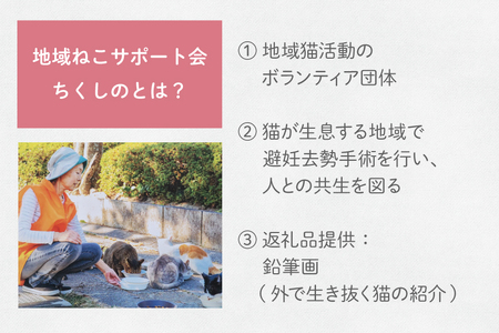 保護猫 支援 猫保護活動への支援 鉛筆画 A5 [地域ねこサポート会ちくしの 福岡県 筑紫野市 21761294] 