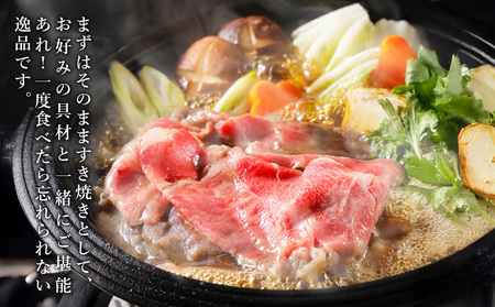 宮崎県産 黒牛 すき焼き しゃぶしゃぶ 赤身 牛肉 すき焼き肉 500g ロースまたは肩ロース 0.5kg すきやき 肉  牛 国産牛  小分け 真空パック うす 冷凍 贈答 ギフト 年末  人気 国産 えびの市 送料無料