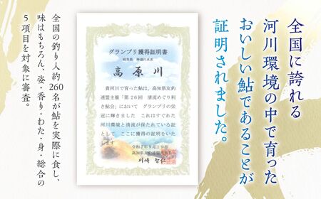 高原川の天然若鮎の甘露煮 12匹 / 鮎  魚 川魚 もんじろう商店