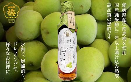 四国の逸品 からだおもいの飲むお酢 飲み比べ 2種 200ml×2本 セット （はちみつ梅酢 瀬戸内レモン黒酢） お酢ドリンク  【一梅酢】