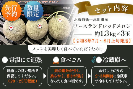 【先行予約】【数量限定】 赤肉メロン3玉【令和８年７月～８月上旬発送】【1203201】