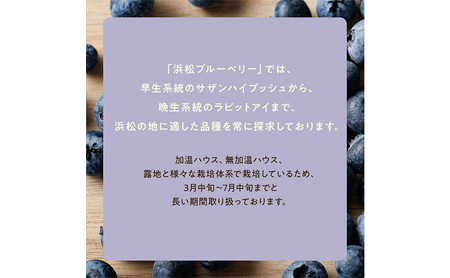 【浜松市産】ブルーベリー 約100g×10パック 計約1kg 甘酸っぱい アントシアニン 食物繊維 ビタミン ミネラル 抗酸化作用 腸内環境改善 美容 美肌 健康 静岡県 浜松市