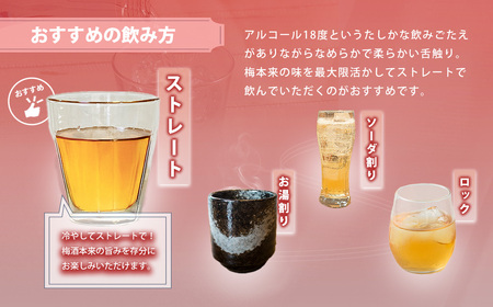 うまかぞー九州 本格梅酒 梅乙姫 720ml 梅酒 KN163-002 酒