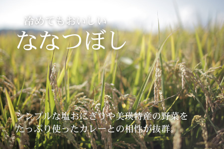 【先行予約】≪令和8年産≫ ななつぼし 10kg 北海道産 ななつぼし [030-106]