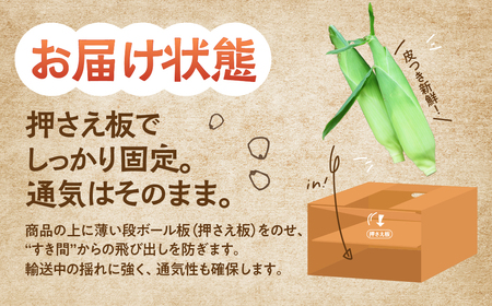 ≪先行予約≫ 令和8年産（2026年収穫）黄色とうもろこし 28本 直売所で大人気！ 愛知県 豊橋市 夏野菜 野菜 ミネラルたっぷり 海風そだち 潮風 BBQ 家族で 大容量 豊橋 ともちゃんのやさい