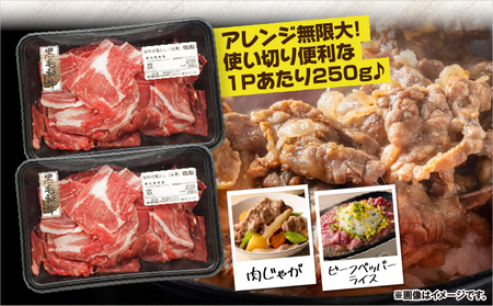 鹿児島県産 黒毛和牛 切り落し 計500g KN102-006-01 肉 牛肉 冷凍