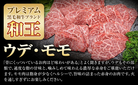 熊本県産A5等級和王 ウデ・モモ 焼肉用 約400g (約400g×1パック) 帝神志方ミート株式会社《90日以内に出荷予定(土日祝除く)》熊本県 菊池市 牛肉 肉 お肉 和牛 くまもと黒毛和牛 熊本県産 A5 和王 ウデ肉 モモ肉 焼肉