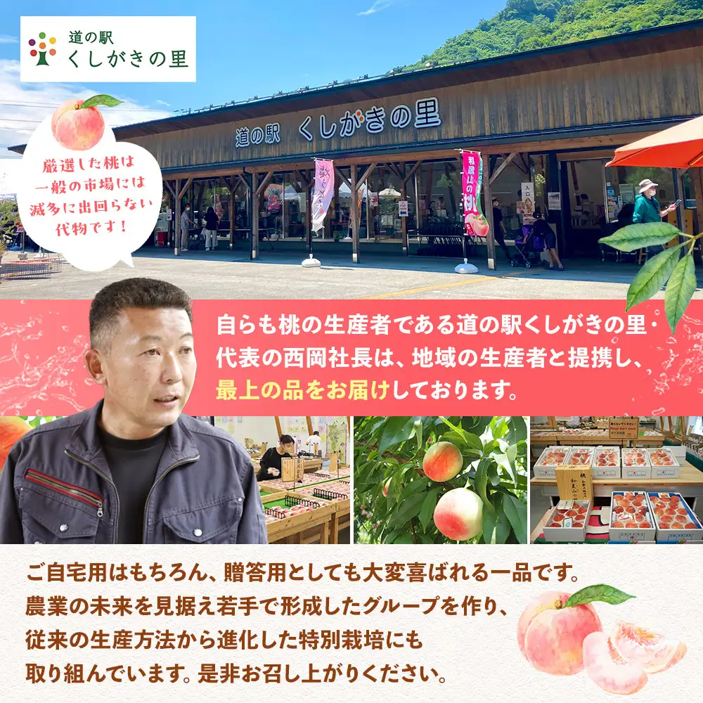 ［2026年発送分］［桃！数量限定先行予約！］川中島白桃 約2kg 6個入 100個に1個の厳選品 こだわり農家厳選！［KG33］