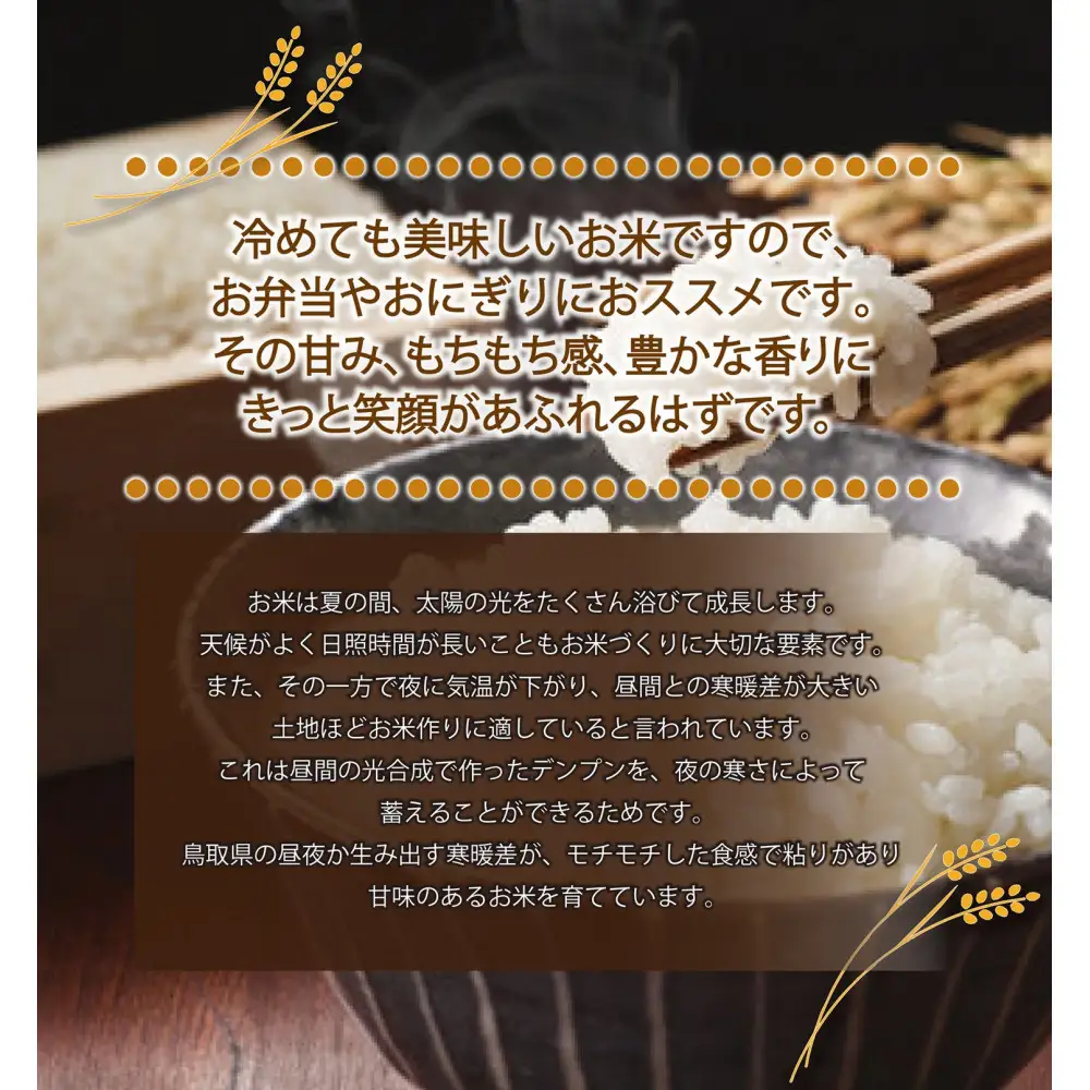 1104.令和7年産　大上農園きぬむすめ精米 5kg